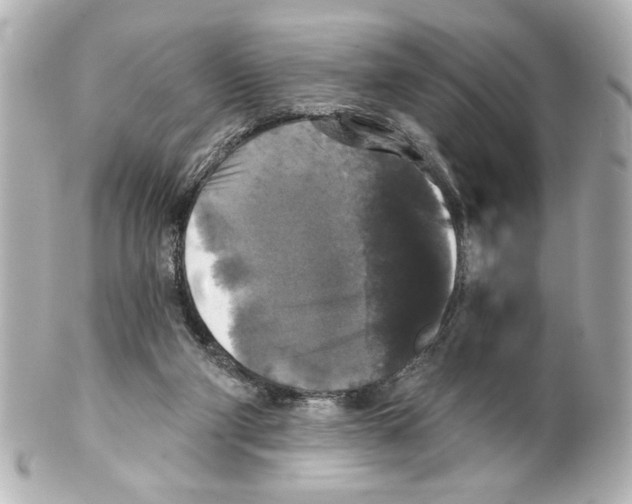 X0000101450114200808041028