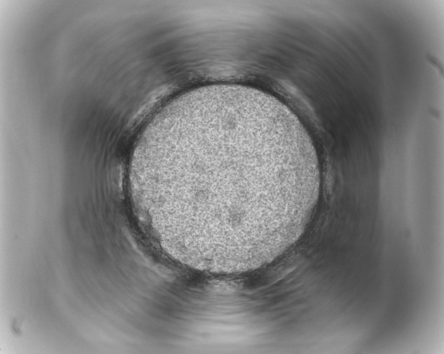 X0000101450115200808041028