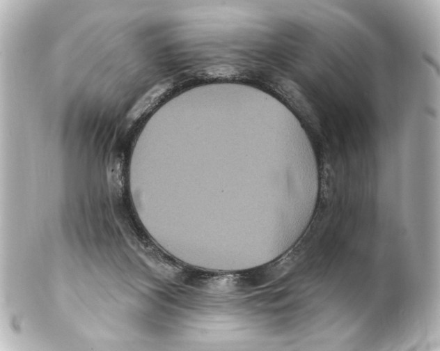 X0000101450116200808041028