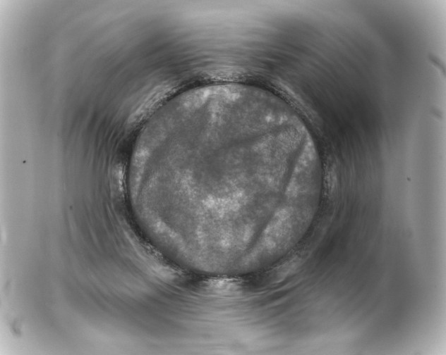 X0000101450117200808041028