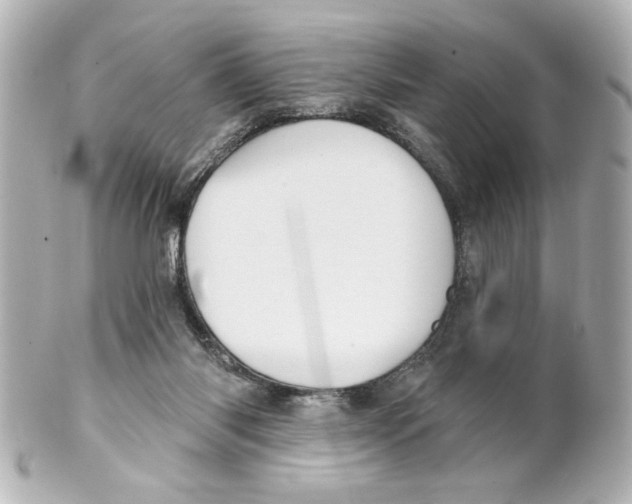 X0000101450118200808041027