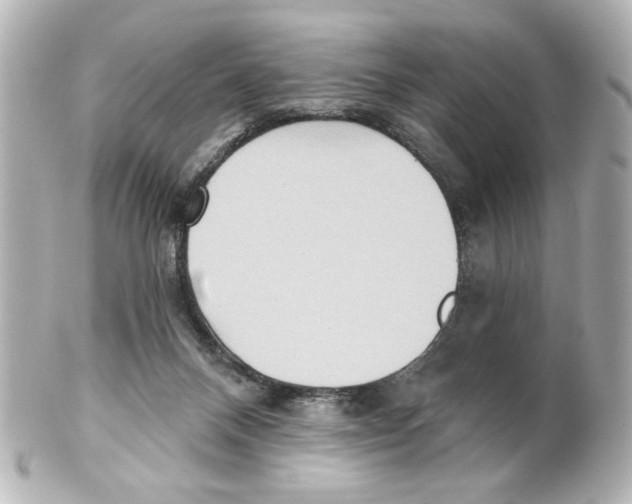 X0000101450120200808041027