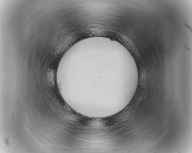 X0000101450121200808041027