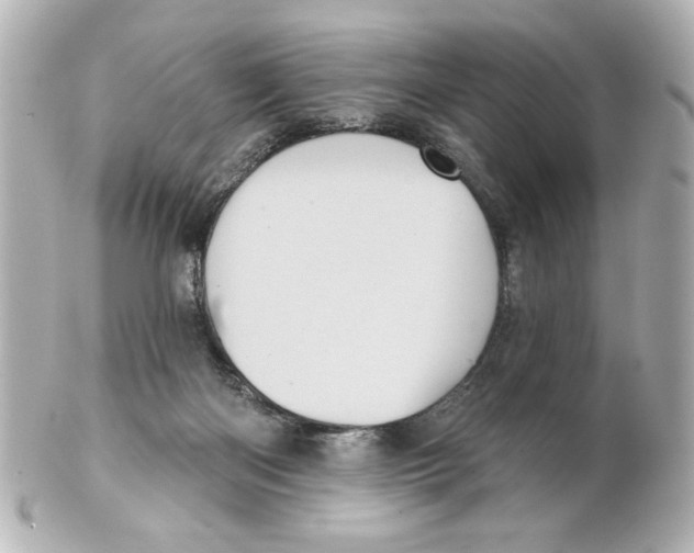 X0000101450122200808041027