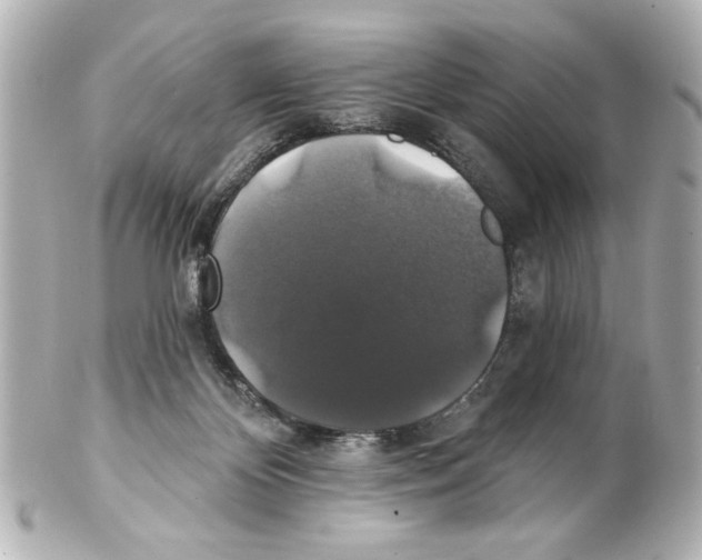 X0000101450124200808041027