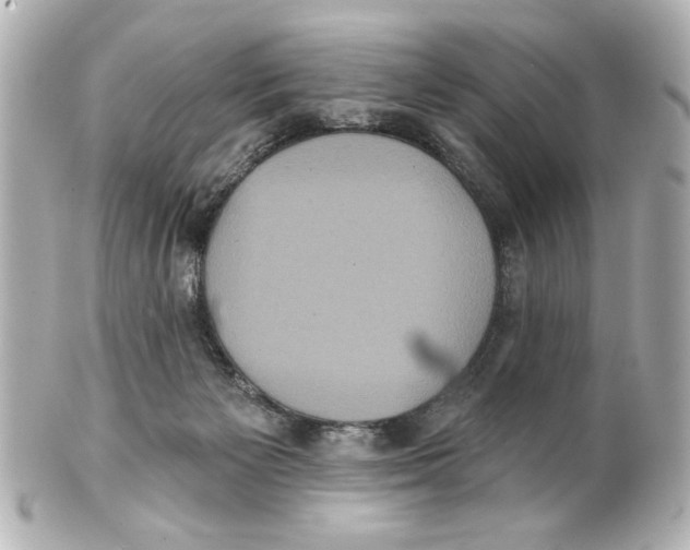 X0000101450125200808041027