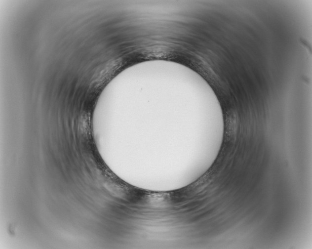 X0000101450126200808041027