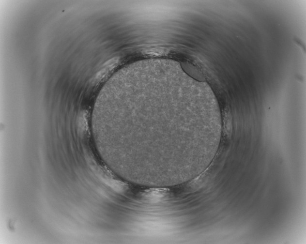 X0000101450128200808041027