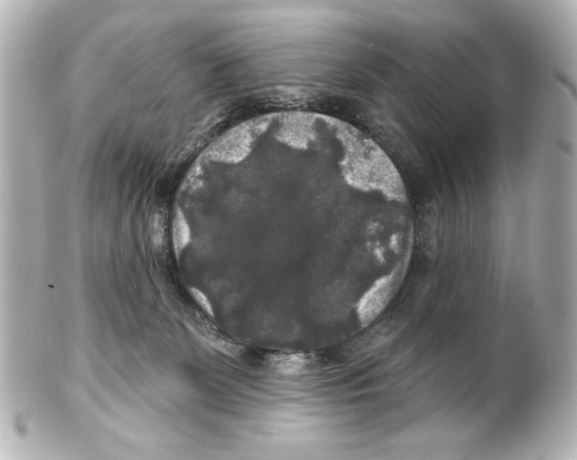 X0000101450131200808041027