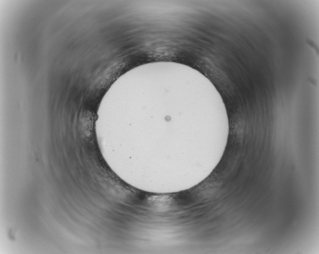 X0000101450133200808041027