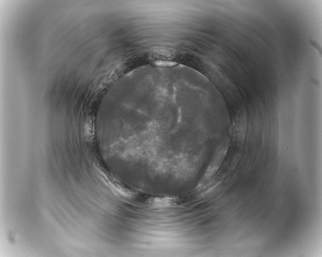 X0000101450134200808041027