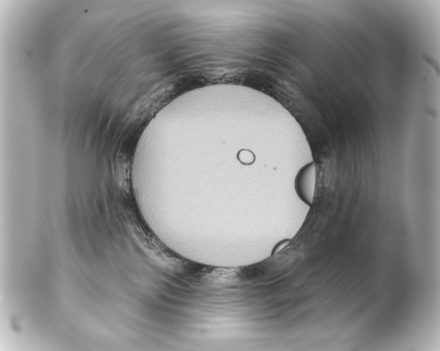 X0000101450138200808041027