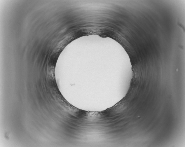 X0000101450141200808041027