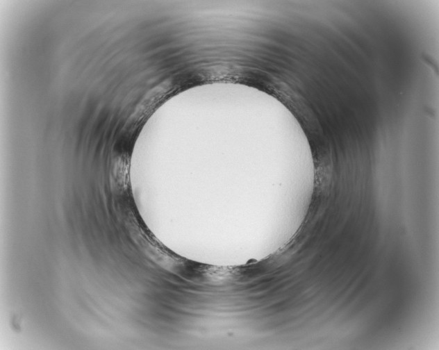 X0000101450142200808041027