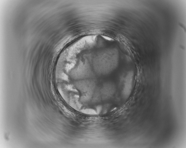 X0000101450145200808041026