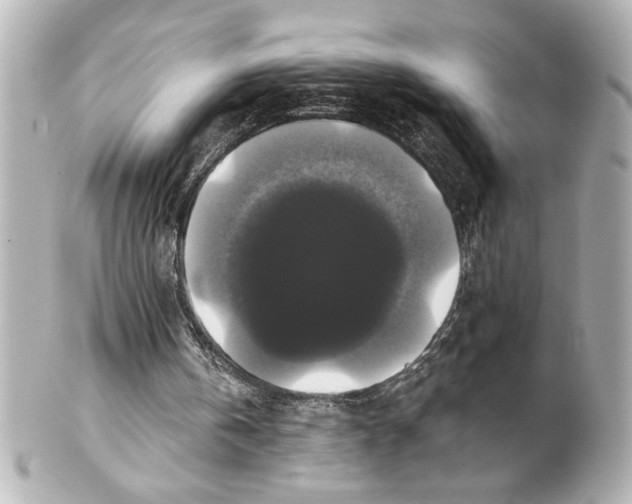 X0000101450146200808041026