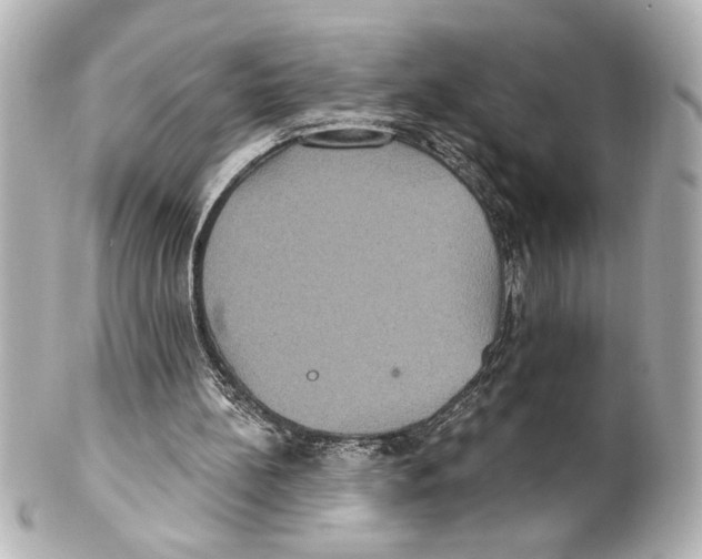 X0000101450148200808041027