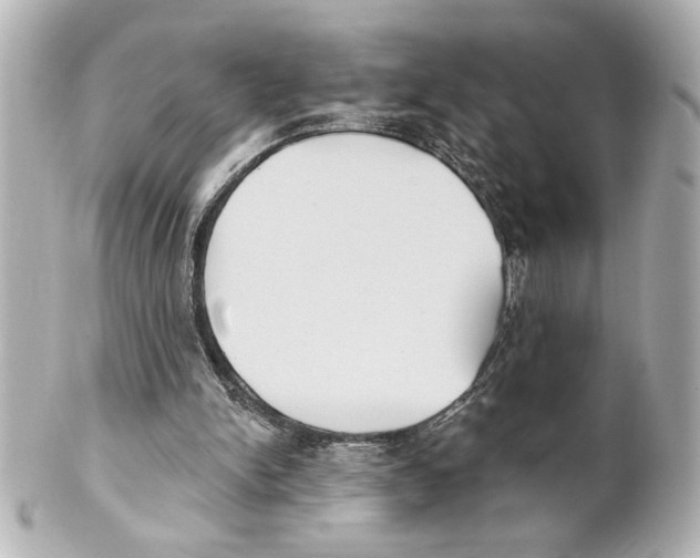 X0000101450150200808041027