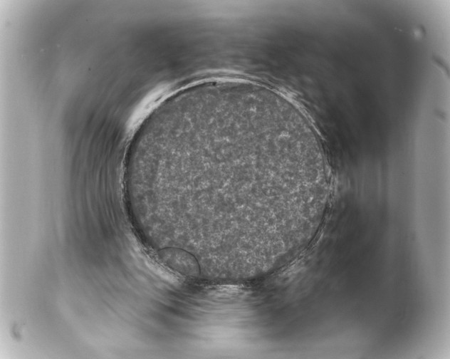 X0000101450151200808041027