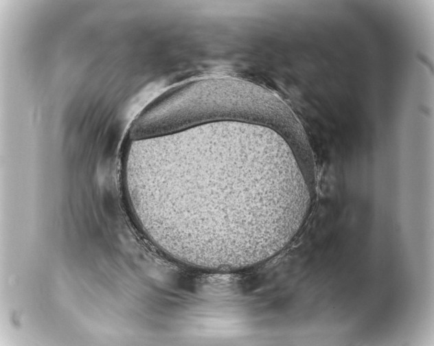 X0000101450152200808041027