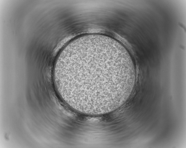 X0000101450155200808041027