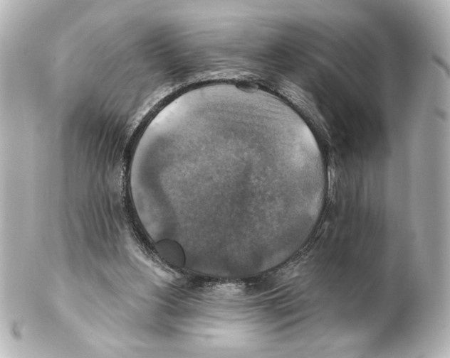 X0000101450156200808041027