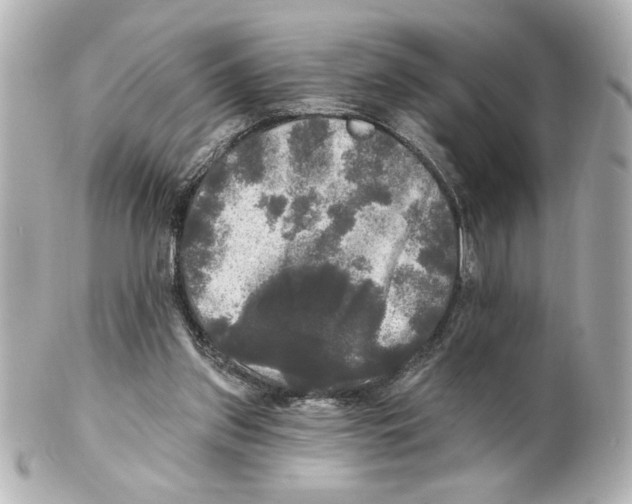 X0000101450157200808041027