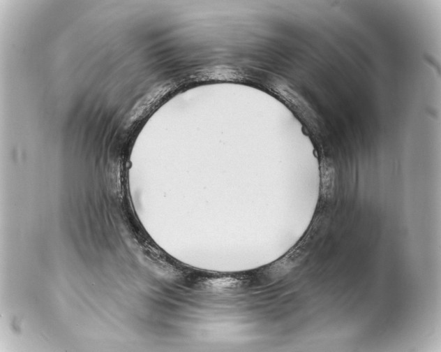 X0000101450158200808041027