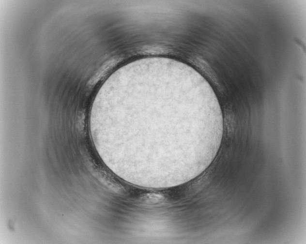 X0000101450159200808041027