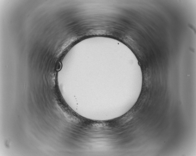 X0000101450160200808041027