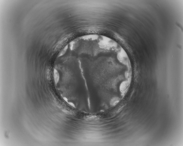 X0000101450161200808041027