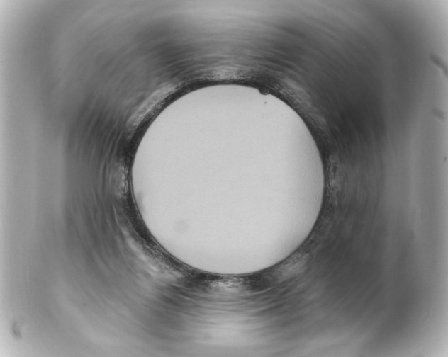 X0000101450164200808041027