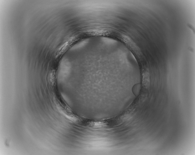 X0000101450165200808041027