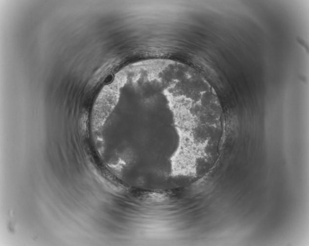 X0000101450166200808041027