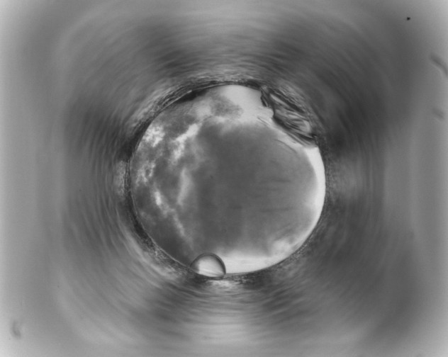 X0000101450167200808041027