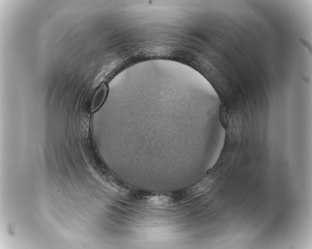 X0000101450168200808041027