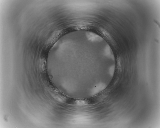 X0000101450169200808041027