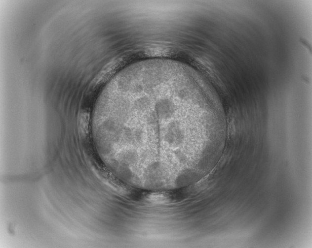 X0000101450171200808041027