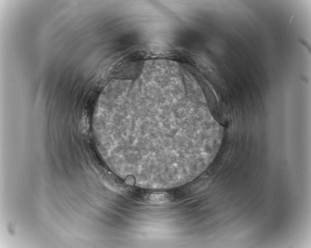 X0000101450173200808041027