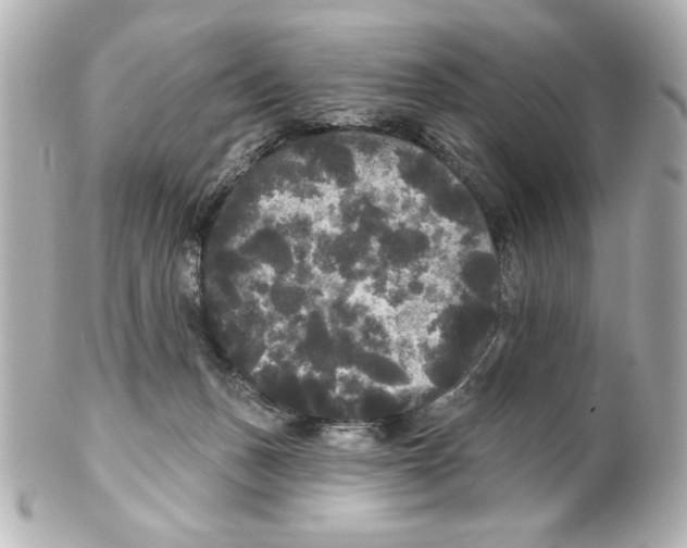 X0000101450175200808041027