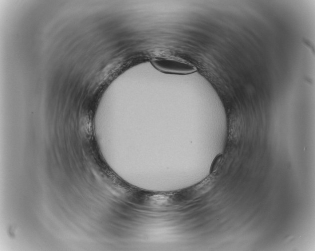 X0000101450176200808041027