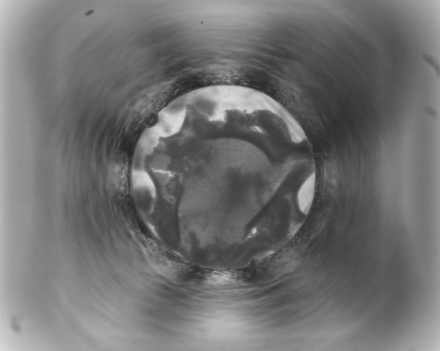 X0000101450177200808041027