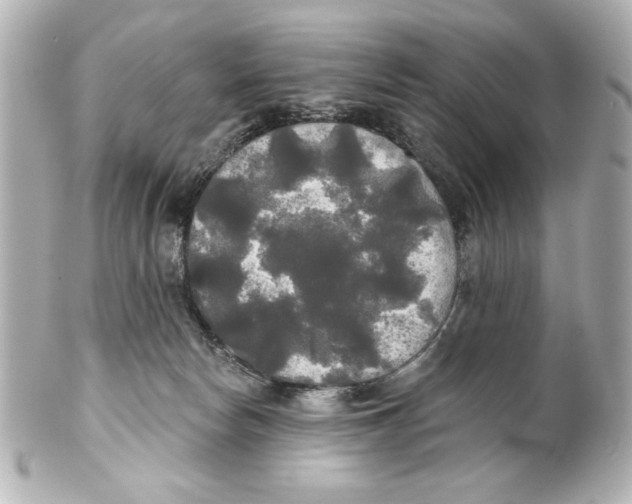 X0000101450178200808041027