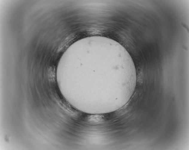 X0000101450179200808041027