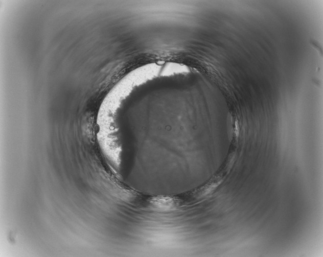 X0000101450181200808041027