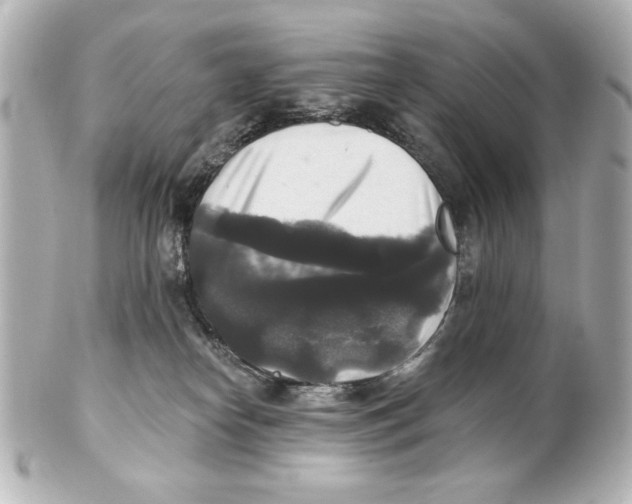 X0000101450182200808041027