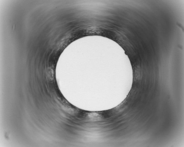 X0000101450183200808041027