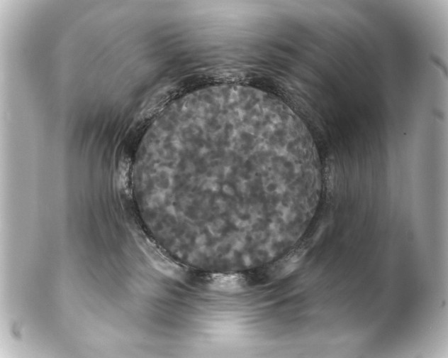 X0000101450185200808041027