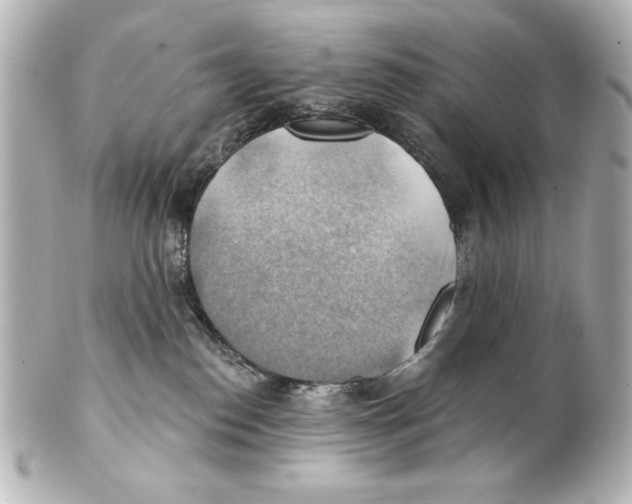 X0000101450186200808041027