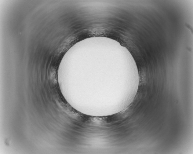 X0000101450187200808041027